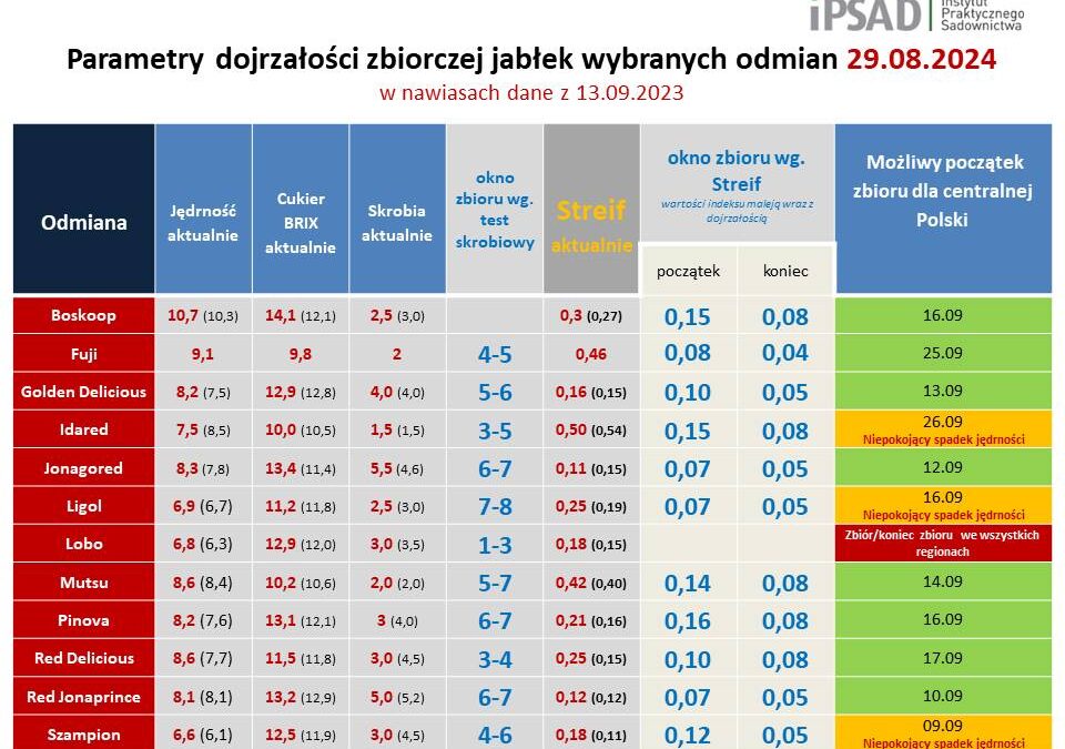 Dojrzałość zbiorcza jabłek 30.08