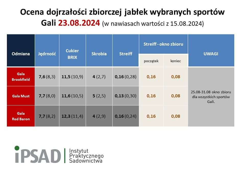 25-31.08 okno zbioru Gali